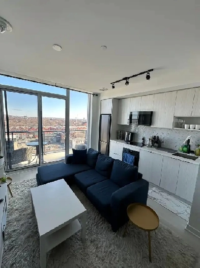 one bedroom plus den condo downtown Image# 8