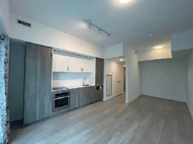 Downtown Toronto Brand New Condo 1Bed 1Den 2Bath Image# 6