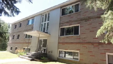 Large and nice 2 bedroom in senior building Image# 1