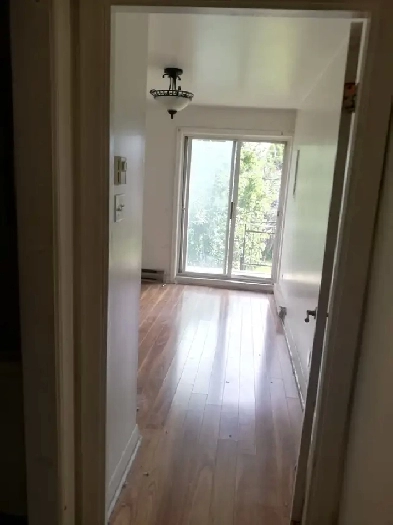 Appartement 3 1/2 disponible à louer 1er septembre Montréal-Nord Image# 8