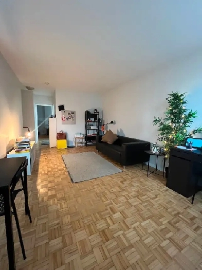 Modern 1-Bedroom Apartment in Downtown Toronto Image# 5