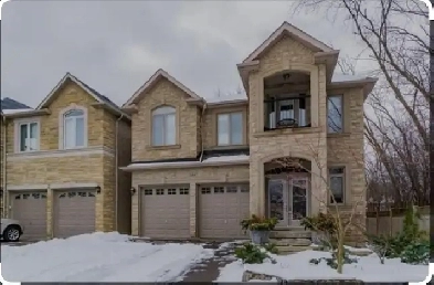 Entire Basement for rent Image# 1