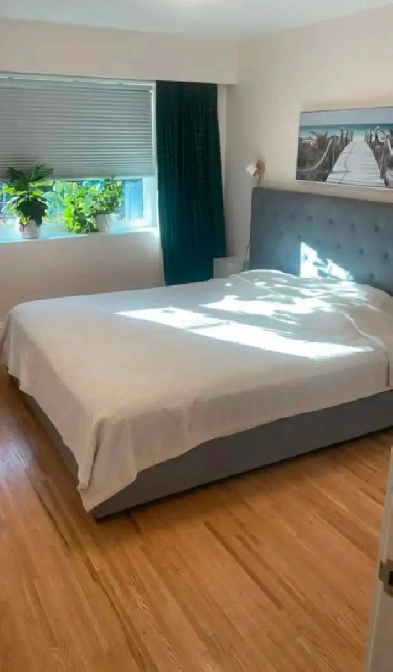 $2,600 / 1br - 730ft2 - Furnished Apartment Near Beach in Kits Image# 3