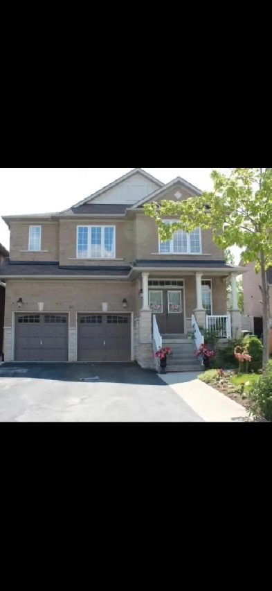 Brampton furnished room upper house close to bus stop Image# 1