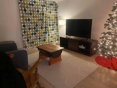 Quartier Rosement - Grand 3 et 1/2 Image# 1