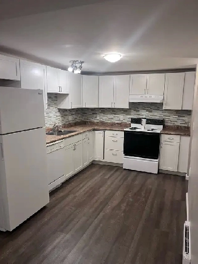 2 Bed 1 Bath Basement Suite Image# 2