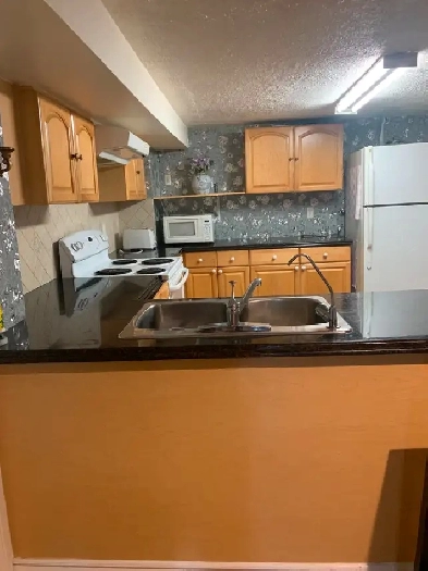 Large Room For RENT Image# 1