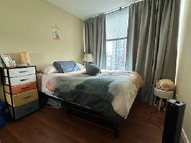 Roomie Wanted – Your Own Private Bath   Amazing Amenities Image# 8