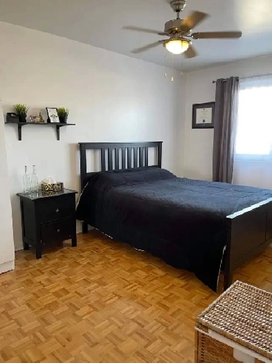 Grand  4 1/2 a louer Petit Rosemont - Septembre Image# 1