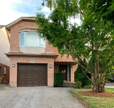 OPEN HOUSE THIS SUNDAY : 98 Summers Dr, THOROLD Image# 10