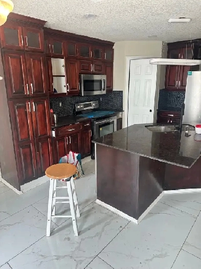 Renovated NE Detached house for Rent Image# 3