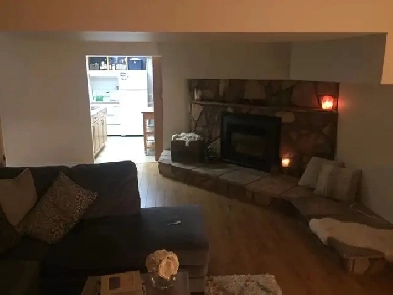 Basement apartment for rent in Blossom Park Image# 7