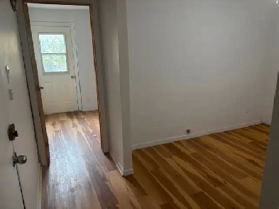 Métro PieIX:Grand 3 1/2 entrée privée électros/parkings/internet Image# 1