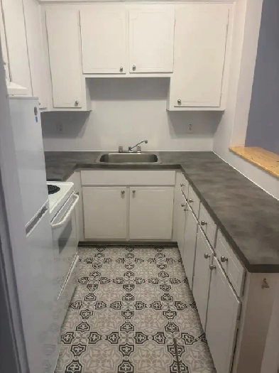 Métro Radisson, 3 1/2 incluant chauffage, poêle et frigo Image# 2