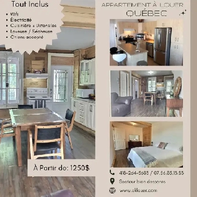 PLUSIEURS APPARTEMENT À LOUER - COURT ET LONG TERME Image# 1