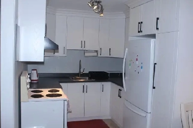 Apartment for rent Image# 7