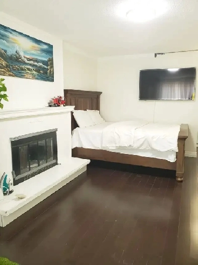 Separate Entrance - Newly Furnished Master Bedroom for Rent Image# 4