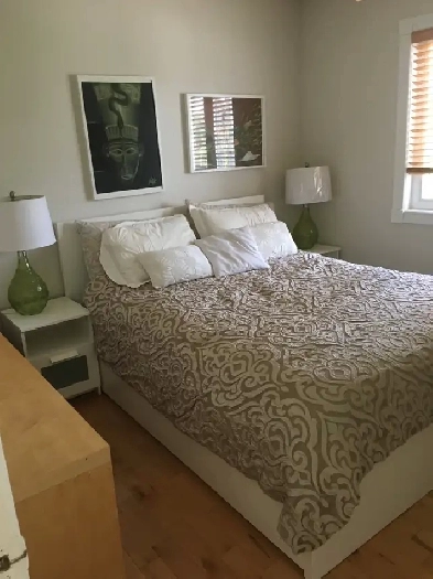 Student Bedroom Rental Image# 1