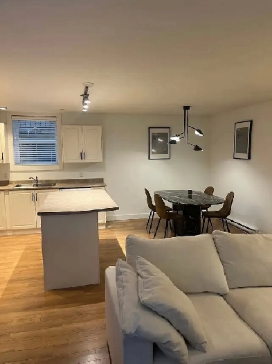 1 Bed 1 Bath Modern Spacious Near Downtown Image# 1