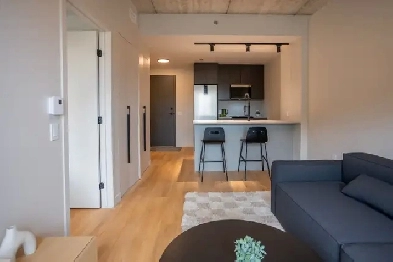 3½ appartement neuf, meublé et moderne Image# 1