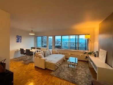 3 1/2 1 Bedroom 1 Bathroom in Cote des Neiges Lease Transfer Image# 7