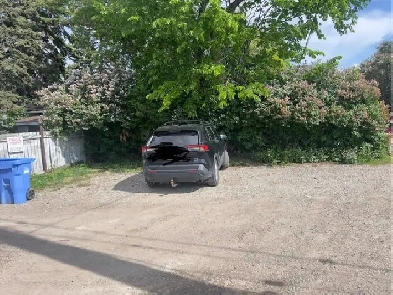 2 min Walk to SAIT - Private Parking for Rent Image# 3