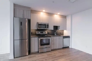 appartement rénové 4 1/2 au Plateau, 12e étage - ID 3902 Image# 1