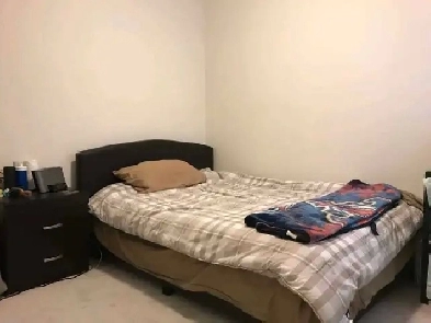 room for male Brampton September 1st parking avail Image# 1