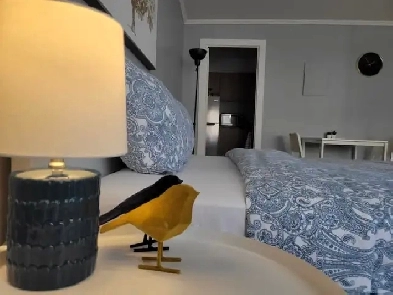 Furnished Studio Apt for Rent - Downtown MTL with balcony & Gym Image# 1