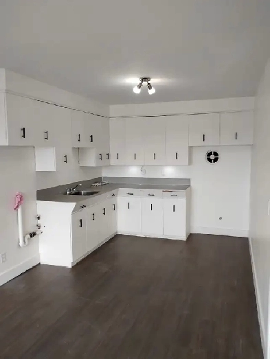 Shawinigan-Sud, très grand 4 1/2 avec 2 chambres fermés Image# 1