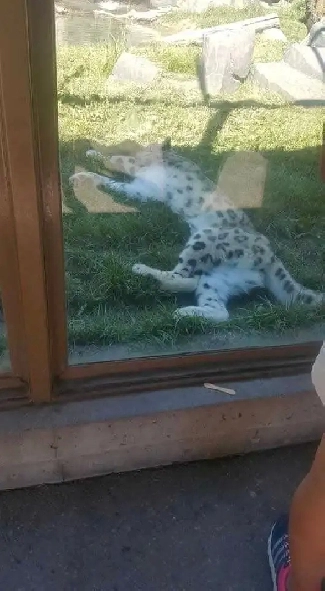 LOOKING FOR 2 BEDROOM ASAP Image# 1