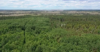 43.23 Acres of Land in Northern Ontario Bordering Crown Land! Image# 1