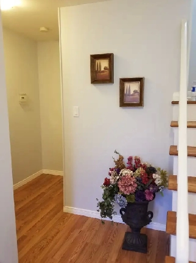 Basement, Yonge & Finch, 1 bed & 1 bath, Rent $1,600 a month Image# 1