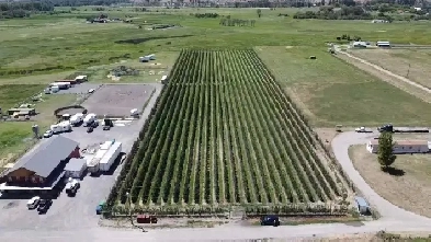 1901 Stewart Rd, Cawston, BC - 5 acres Image# 1