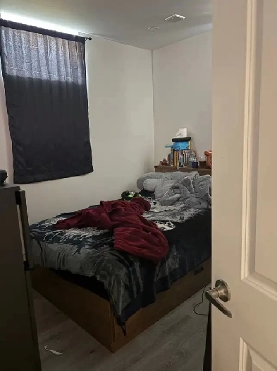 Basement for rent near Brant sports complex. Image# 1