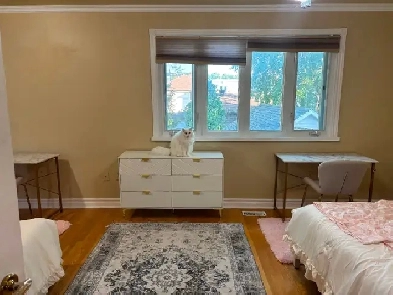 Homestay Available in Thornhill (Uptown Toronto) Image# 1