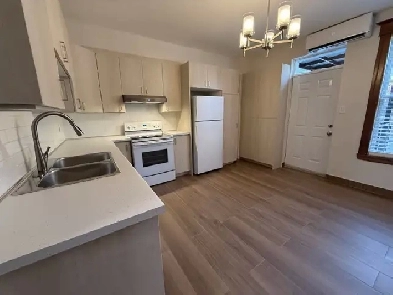 Fully renovated 5 1/2 apartment in Pointe St-Charles, Mtl Image# 1