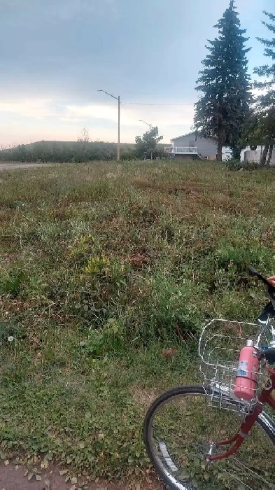 land for sale ryley alberta Image# 1