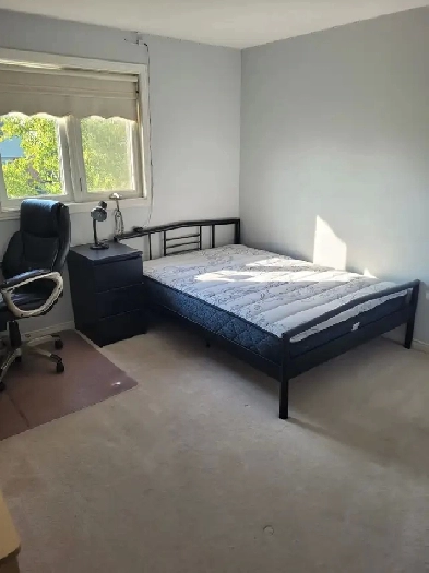 1 Bedroom in a House for Rent in Guelph Image# 1