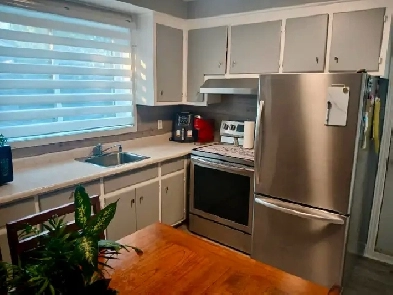 3 1/2 à louer Image# 1