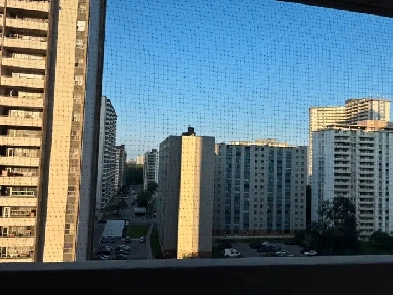 1bhk apartment for rent Image# 6