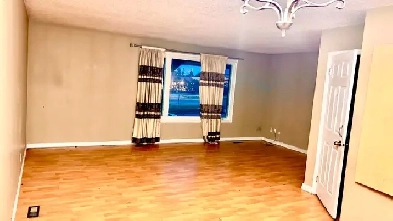 2 bedrooms 1 washroom Main floor in Falconridge NE Image# 1