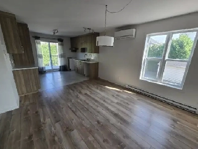Appartement logement 5 1/2 à louer Image# 3