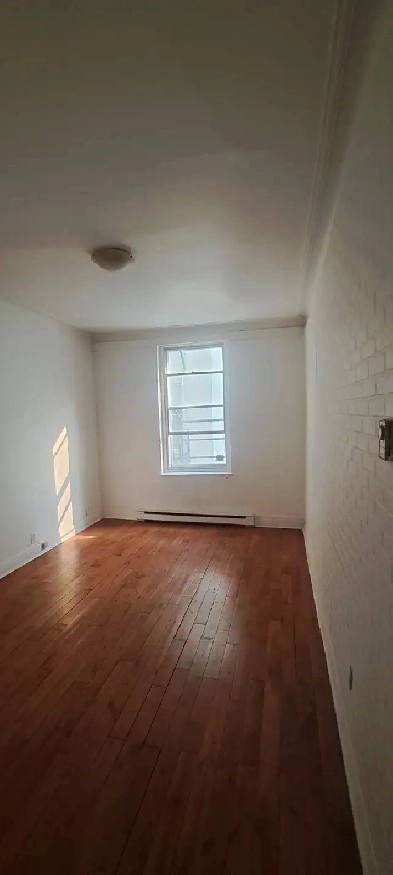 Near to everything 1 bedroom apartment mcgill ghetto area Image# 1