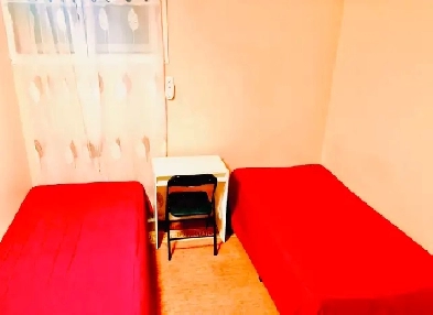 All Inclusive - Newly Renovated Room for Rent Image# 1