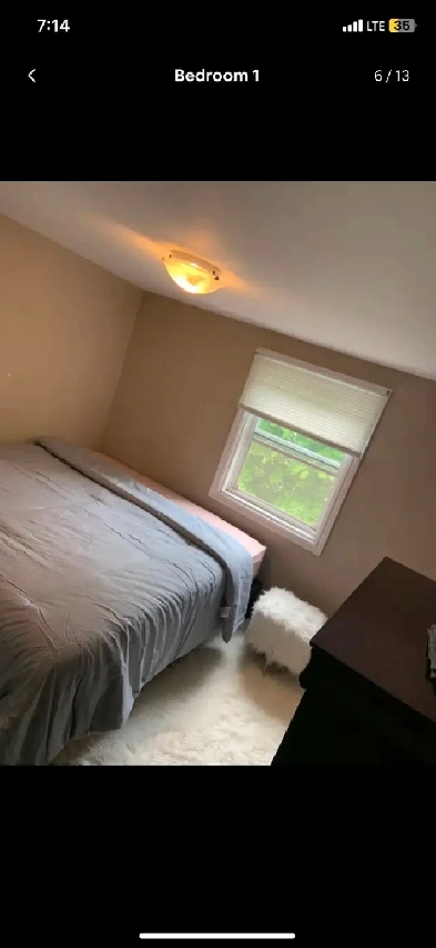 READY SEPT 3 !  Downtown HFX & Furnished Apt Image# 2