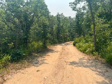 3 Acre treed cottage lot with with road an drive way in Belaire Image# 3