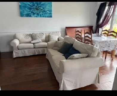 grande Chambre à louer dans jolie maison Image# 4
