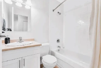Bachelor Apartment Available Now! Image# 1