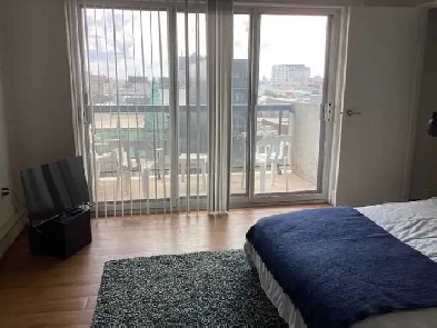 55 ans et   Studio à louer Métro Sherbrooke Image# 1